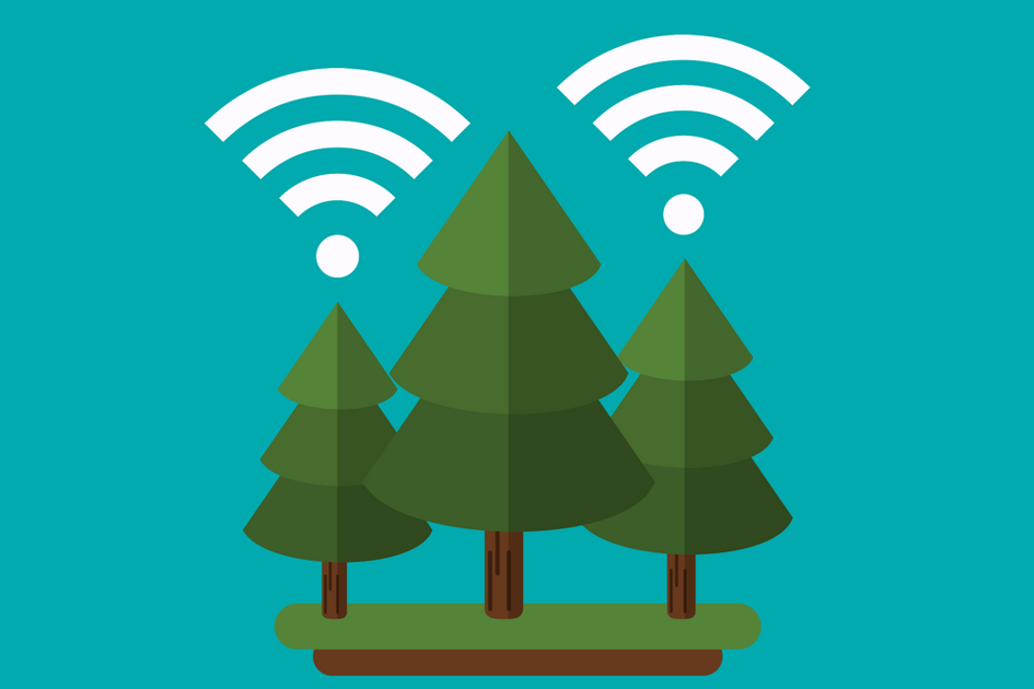 Evergreen Your Website.png