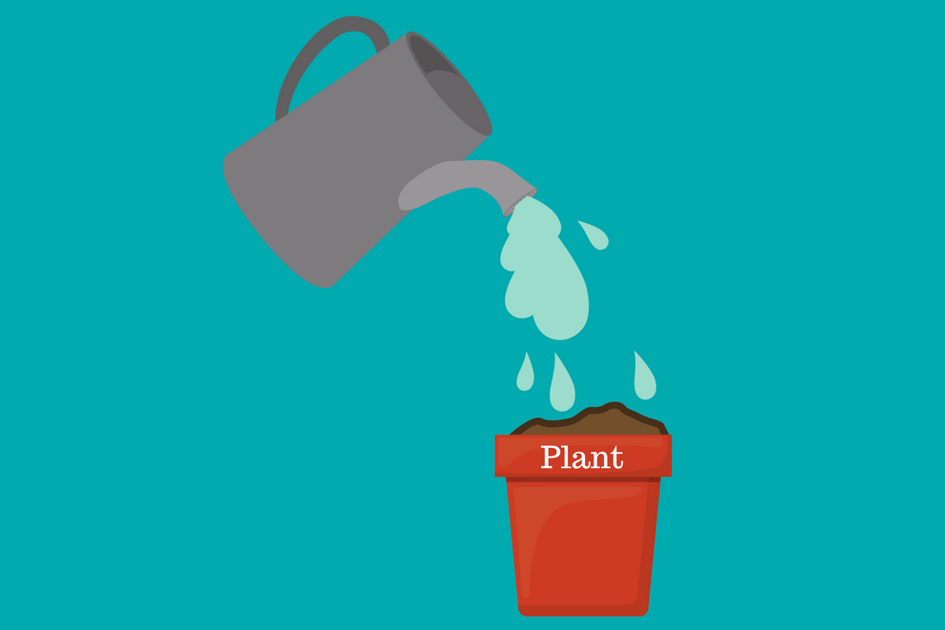 Plant.png