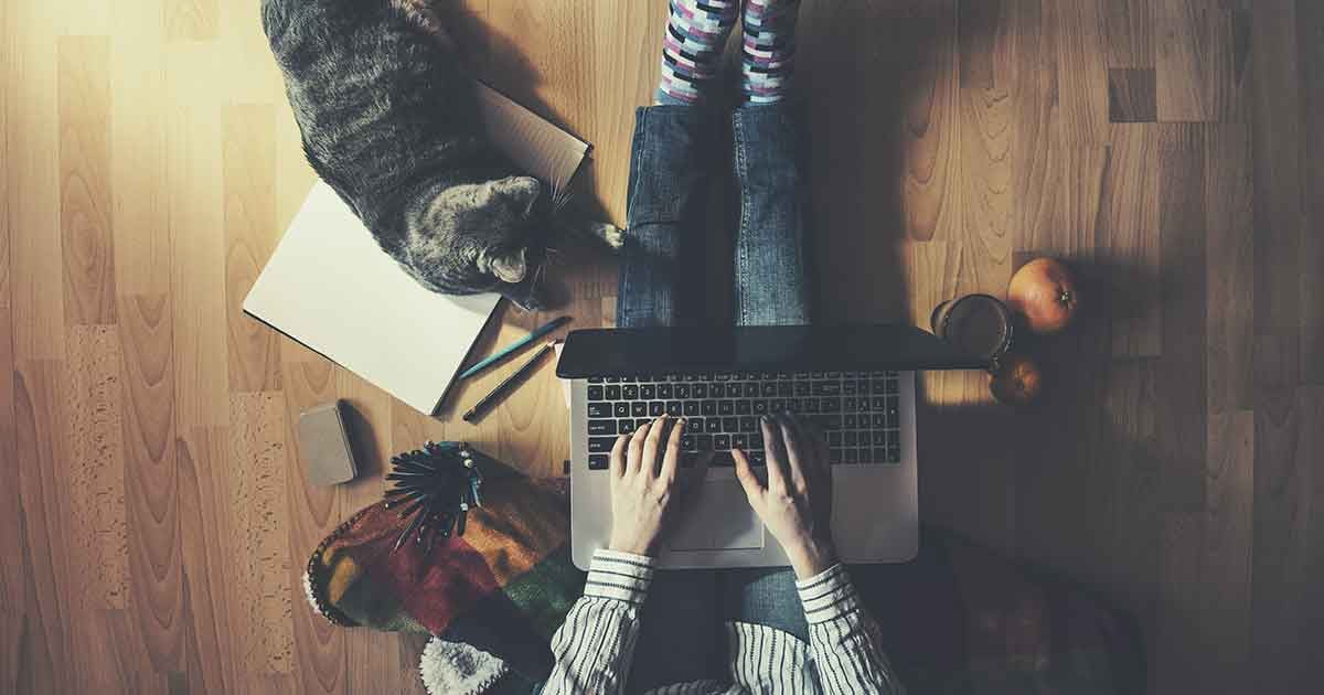 Work from home with cat
