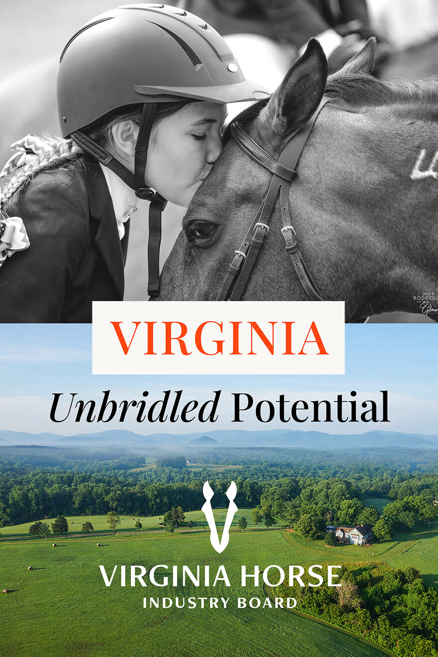 All 1000 x 1500 - 1@2x 1 (1)