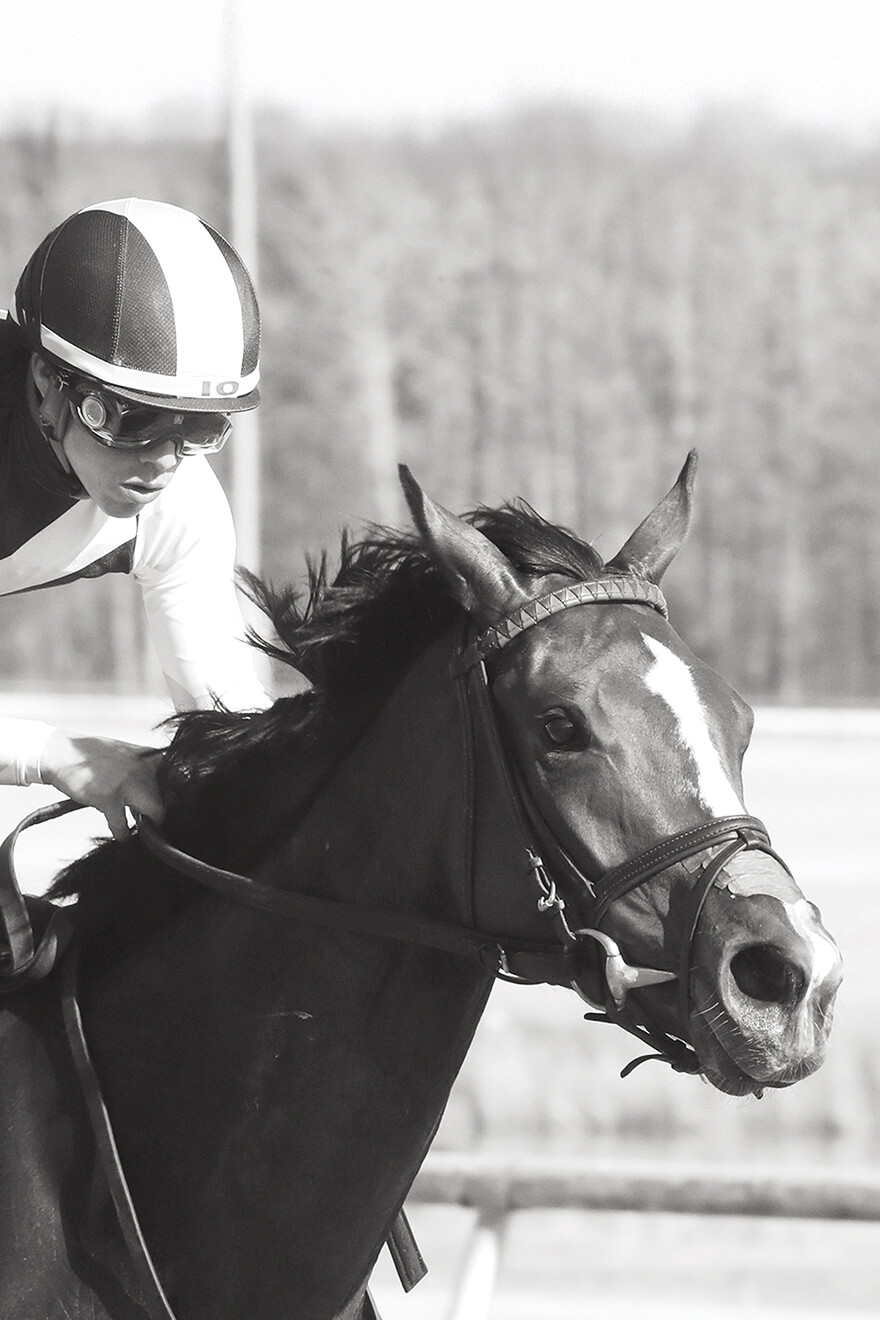 All 1000 x 1500 - 3@2x 1 (1)