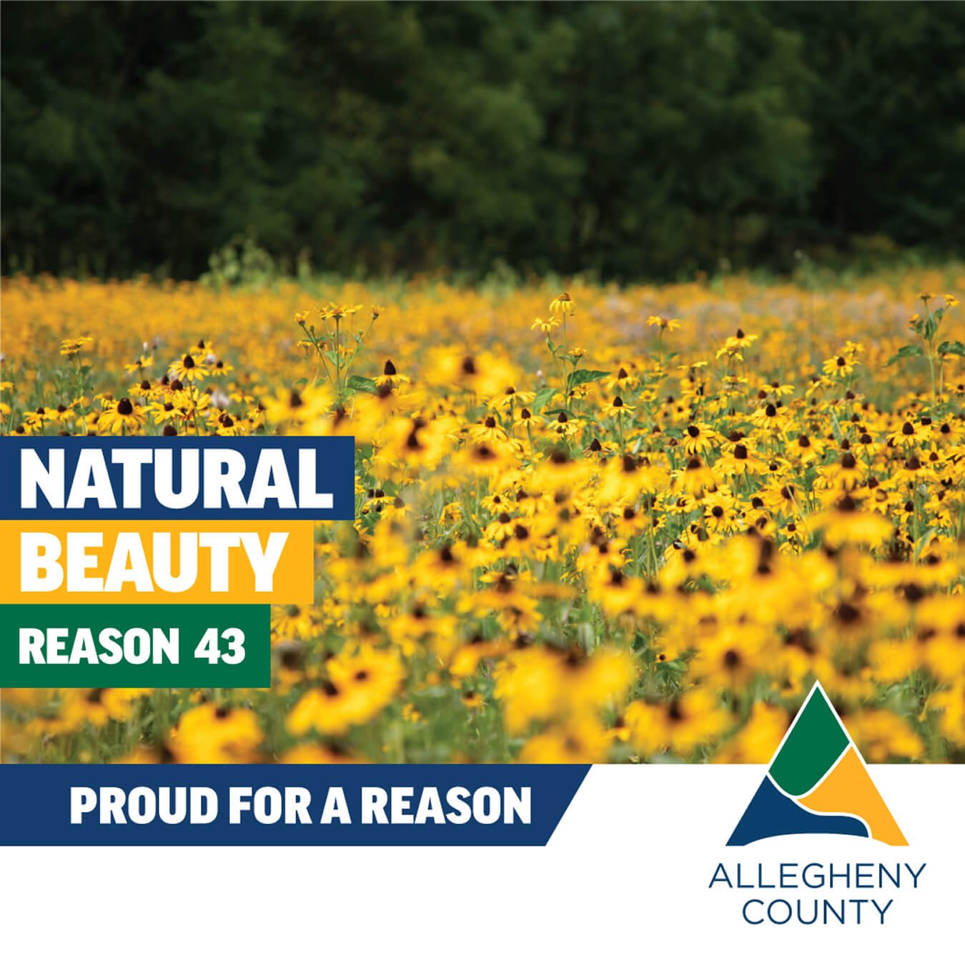 BedroomCommunities_NaturalBeauty_1080x1080 1 (1)