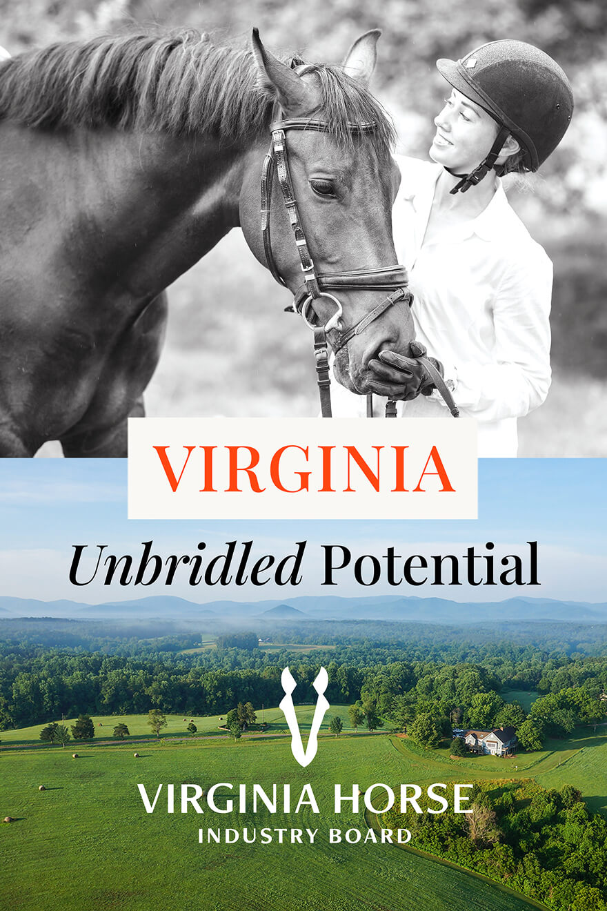 English 1000 x 1500 - 1@2x 1 (1)