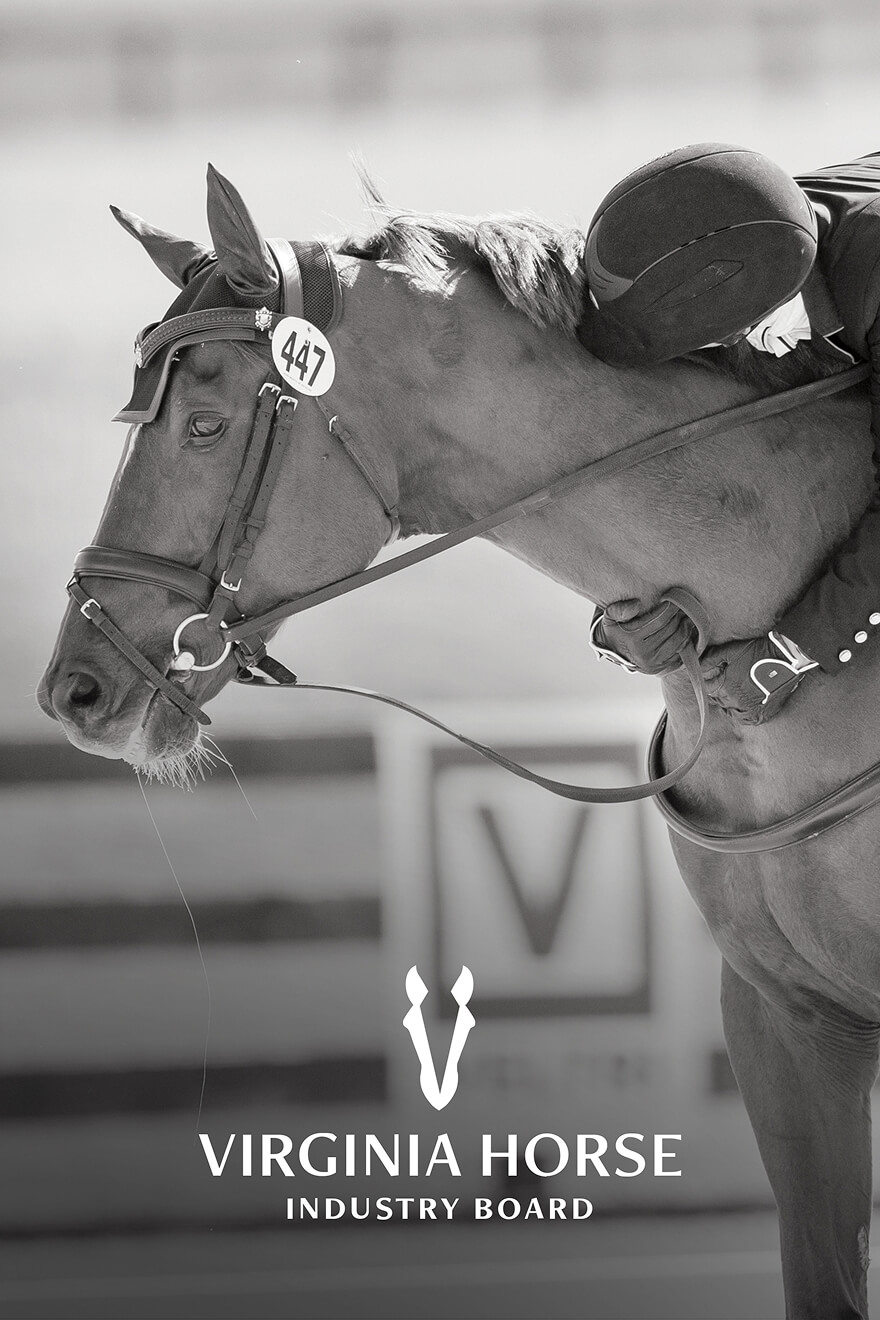 English 1000 x 1500 - 5@2x 1 (1)